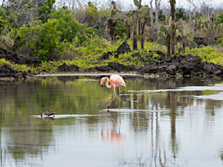 龙池国家森林公园