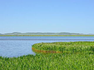 鄱阳湖国家湿地公园