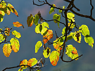 天竺山森林公园