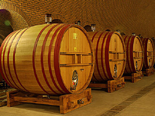 紫轩葡萄酒庄园