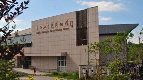 长白山自然博物馆