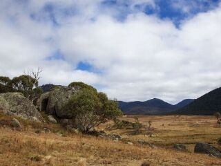 纳玛吉国家公园