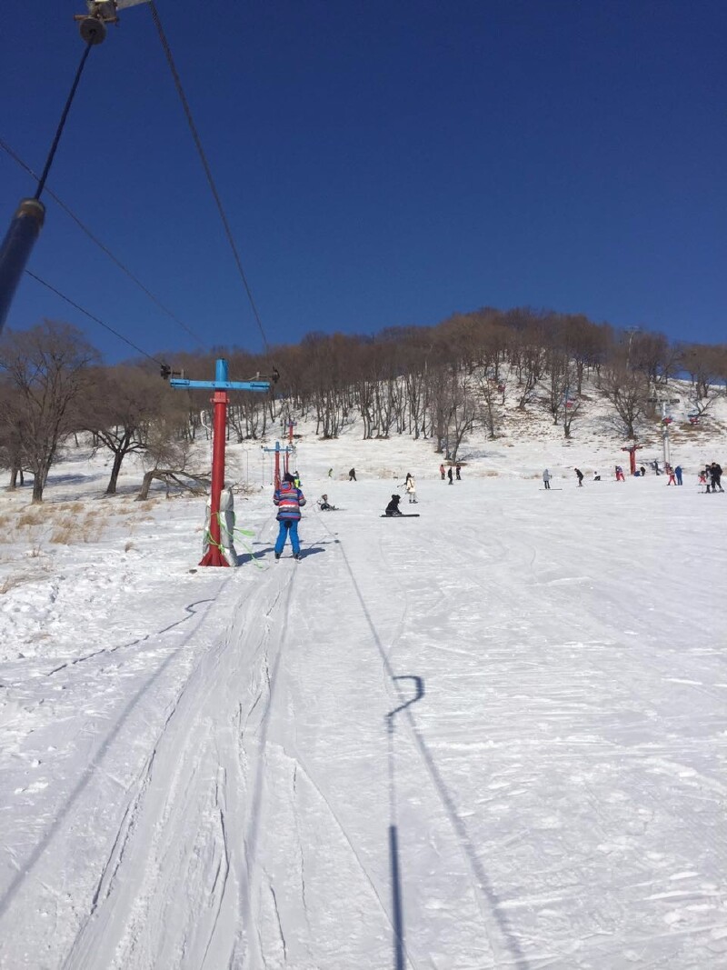 2017 哈尔滨4天"惬意"行_哈尔滨游记_途牛