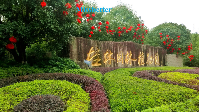 桂林园林植物园图片