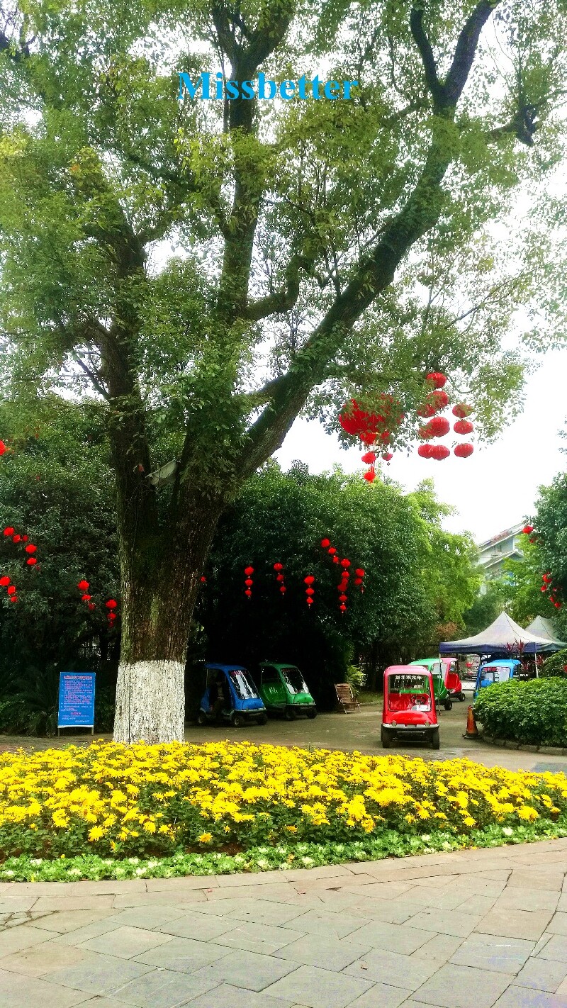 抢红包#桂林园林植物园,2017走起!