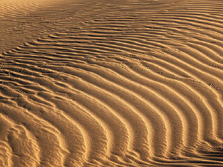 沙坡头旅游景区