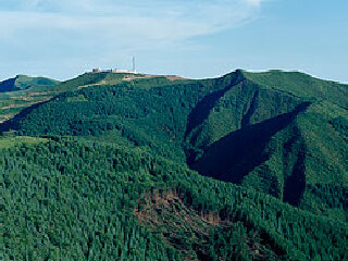 六盘山国家森林公园