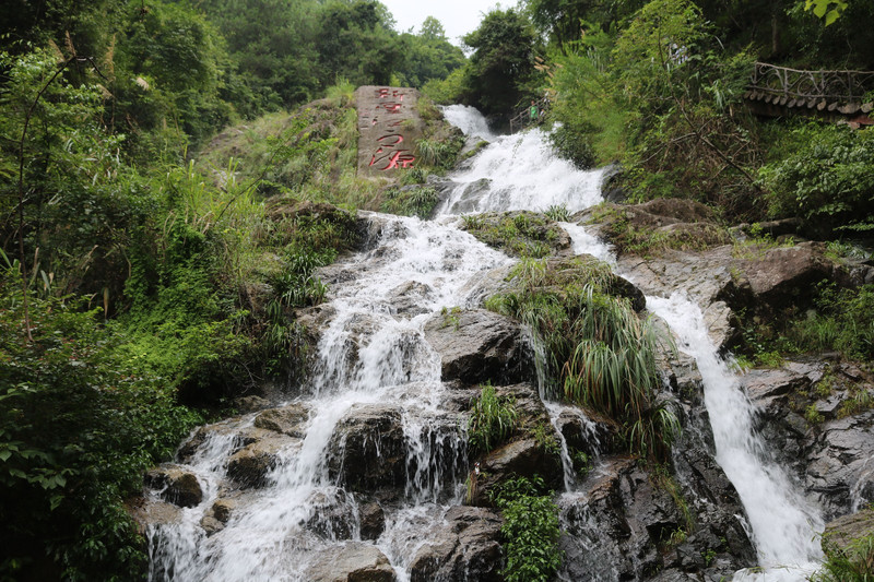 雲髻山是廣東省級自然保護區,主峰海拔1438米,是廣東省最大的新豐江