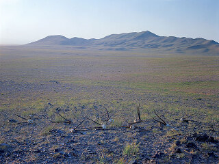 阿尔金山自然保护区
