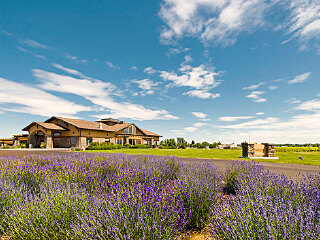 解忧公主薰衣草庄园