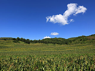 千松坝国家森林公园