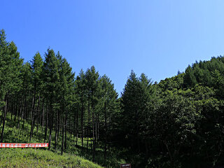 千松坝国家森林公园