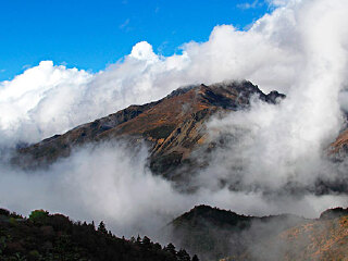 云雾山森林公园