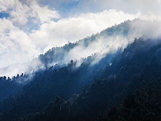 云雾山森林公园