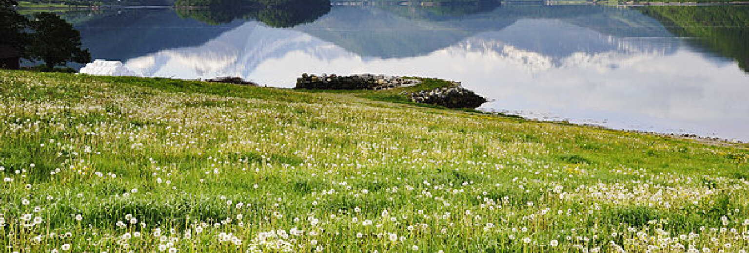 百花坡旅游攻略