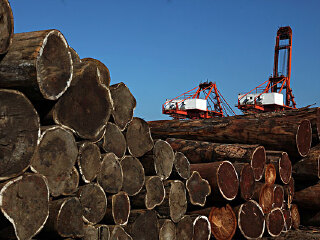 塞罕坝机械林场