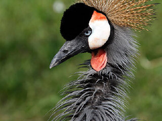 秦皇岛野生动物园