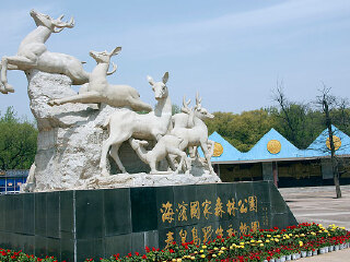 秦皇岛野生动物园