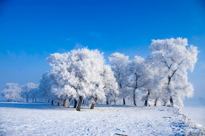 【雪乡雾凇岛】告诉你冰雪王国有多美_牡丹江游记_途牛