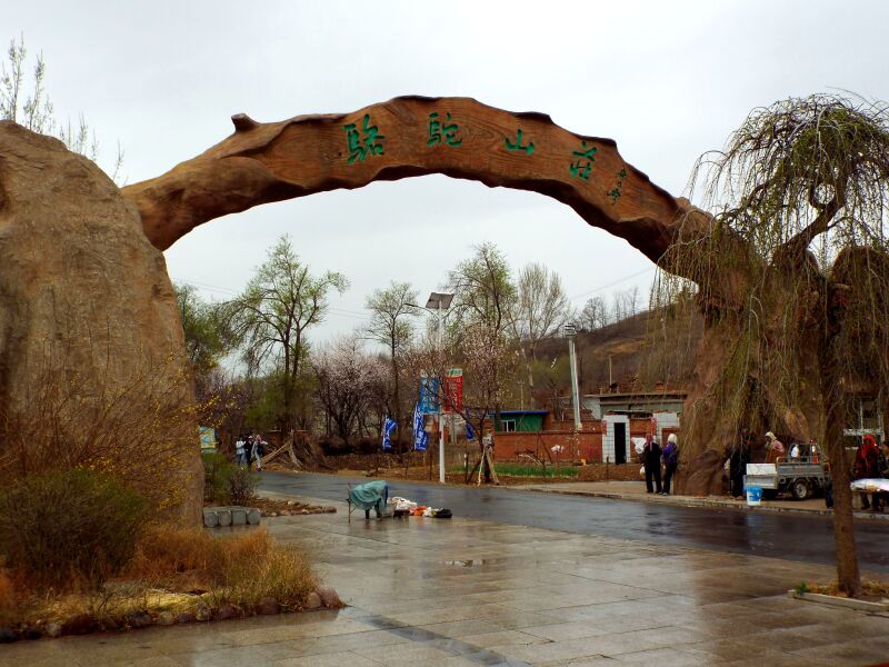 去梨树沟看梨花