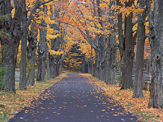 抗日会战阵亡将士公墓