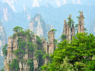 阳明山国家森林公园