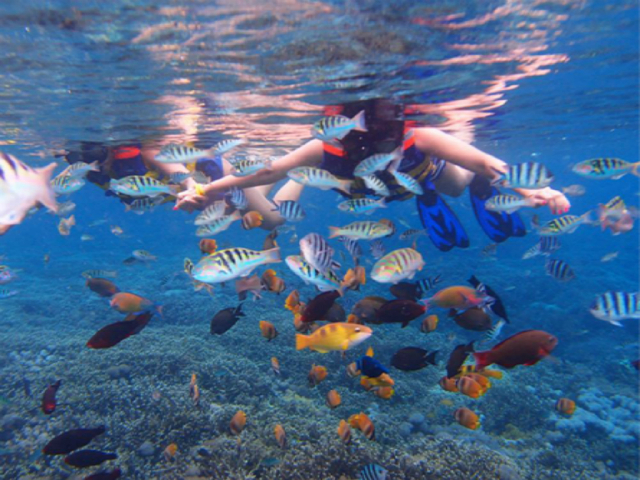 [春节] 泰国-普吉岛6或7日游>0自费,升级1晚五星希尔顿或同级,4晚海边