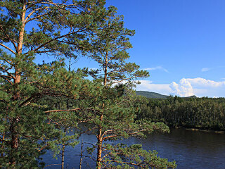 舜皇山国家森林公园