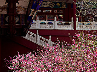 中信国安天下第一城