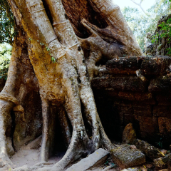 塔普伦寺的#旅图换旅费#