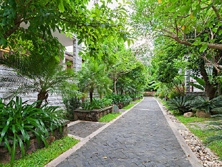 东寨港自然保护区