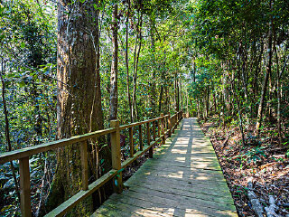 东寨港自然保护区