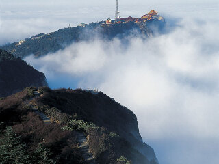 金顶山