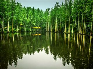 波尔登森林公园