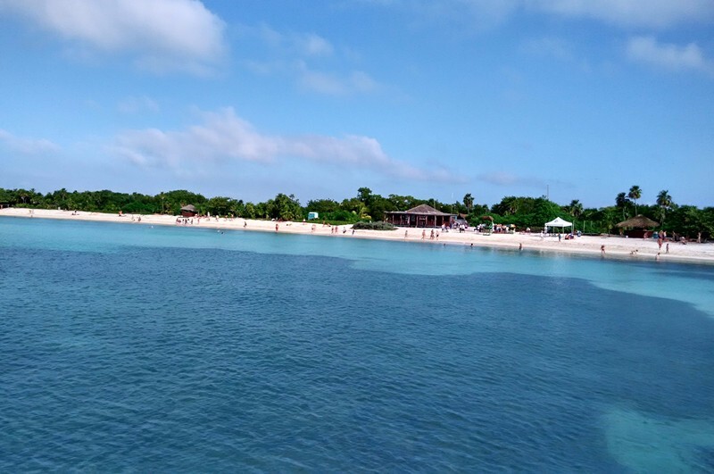 登录青年岛还需要乘坐一段接驳船,船长从天窗伸出头,驾驶渡轮驶向彼岸