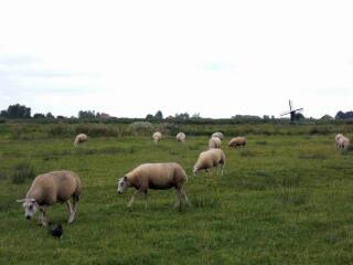 桑斯安斯风车村
