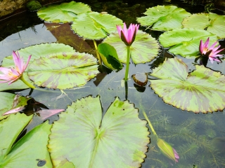 大叻玛丽修道院