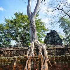 塔普伦寺的#旅图换旅费#