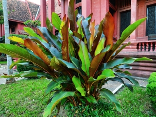 金边国家博物馆