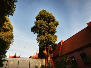 金边国家博物馆