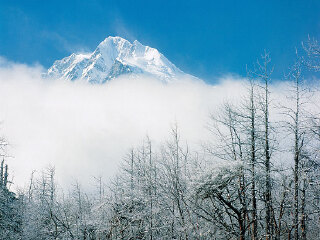 贡嘎山