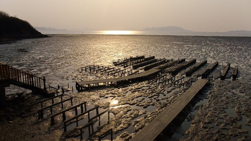  三门蛇蟠岛