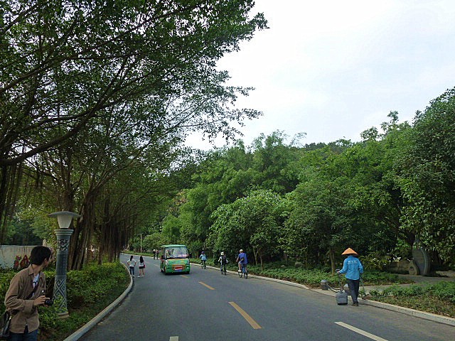 1天,遊南寧綠肺——青秀山玩法