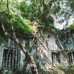 崩密列的#旅图换旅费#