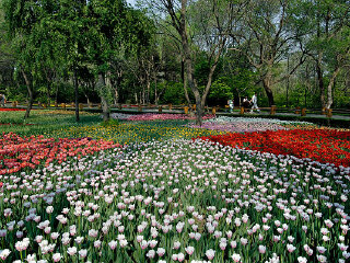 鄢陵国家花木博览园