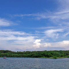 鄱阳湖国家湿地公园的#旅图换旅费#