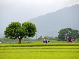 花东纵谷国家风景区
