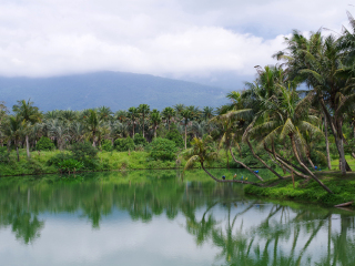 花东纵谷国家风景区