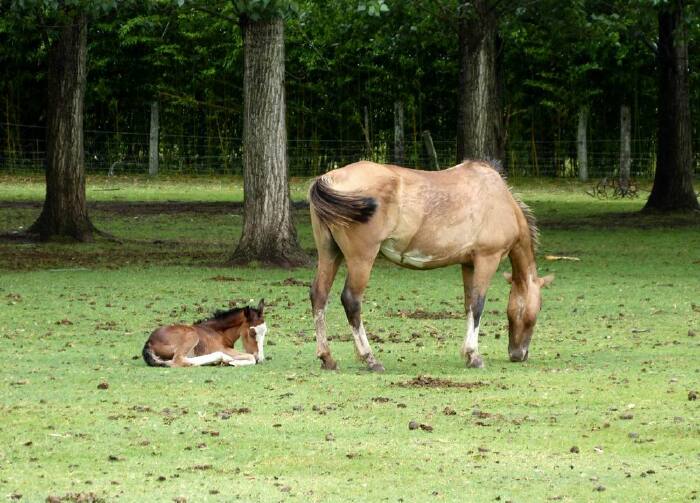 【南美四国行-下】阿根廷
