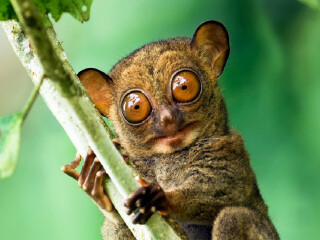 圣卡洛斯大学博物馆旅游景点介绍_2018圣卡洛